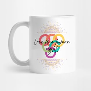 love is a human right Mug